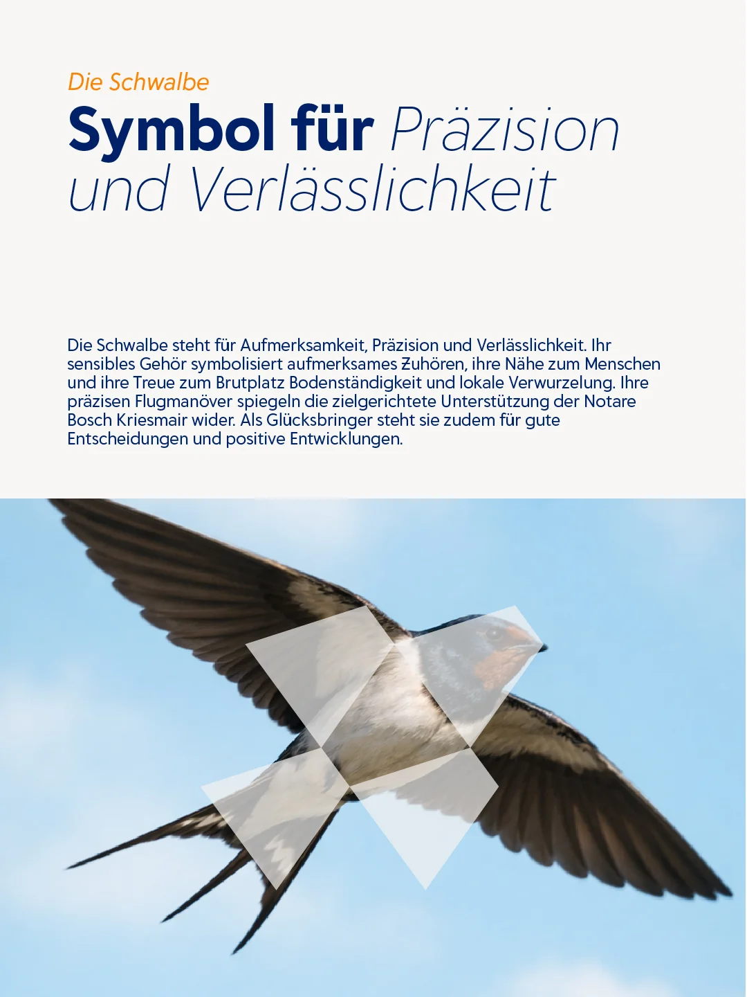 Die Schwalbe als Symbol für Präzision und Verlässlichkeit